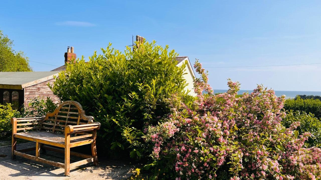 Gordy Hall -Sea Facing Welsh Cottage With Stunning Views Pendine Eksteriør bilde